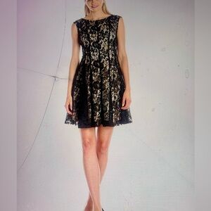 Julian Taylor Black Lace Nude Lining Fit & Flare Dress Size 6
